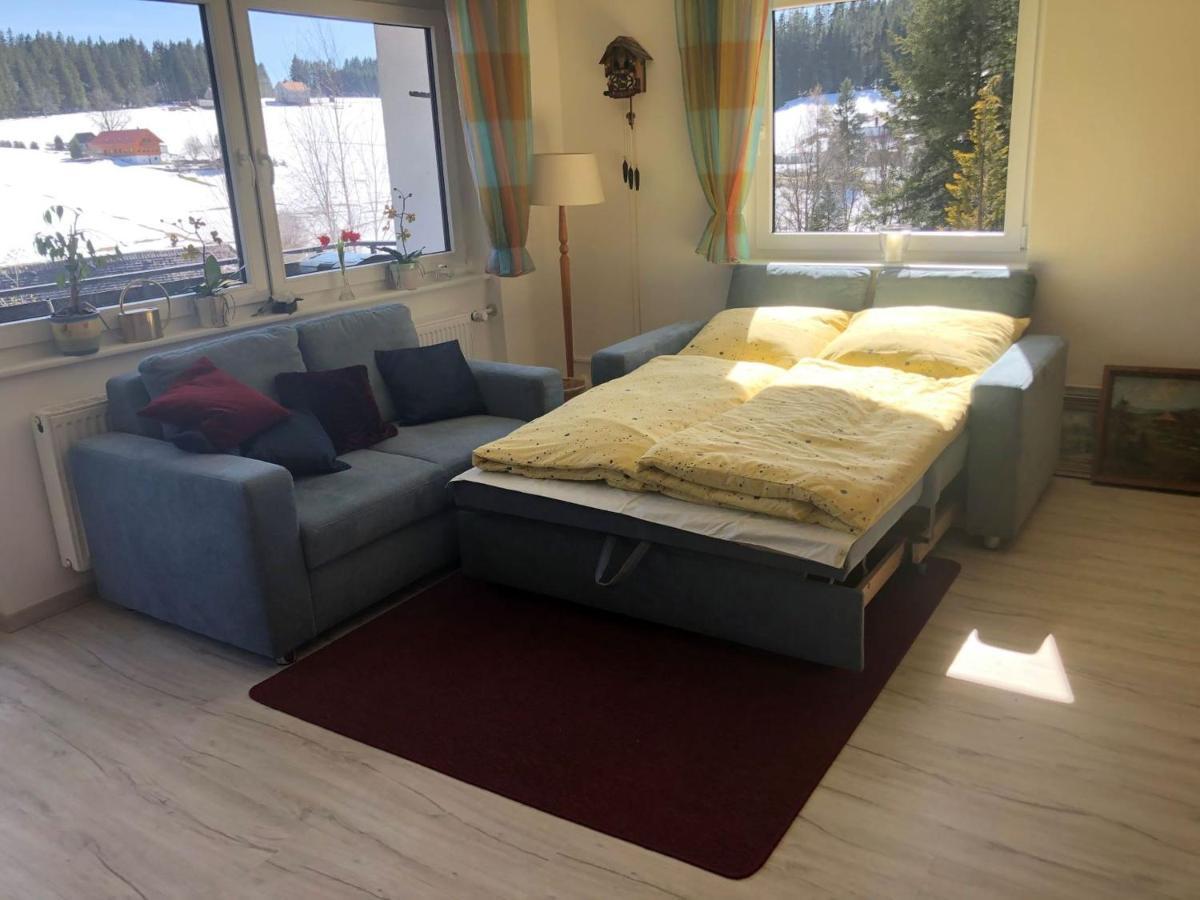 Haus Lucia Appartment "Schoenblick" Шёнвальд Экстерьер фото